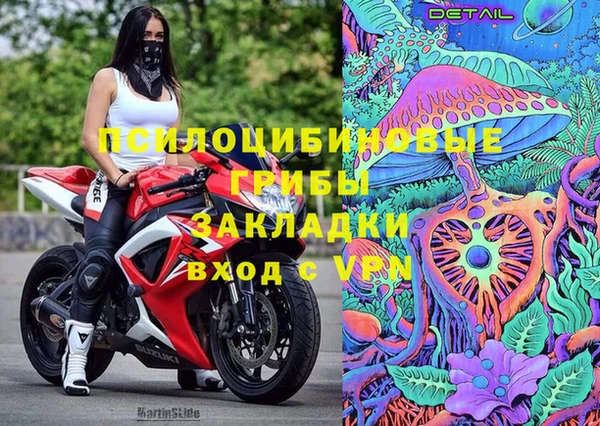 ALPHA PVP Иннополис