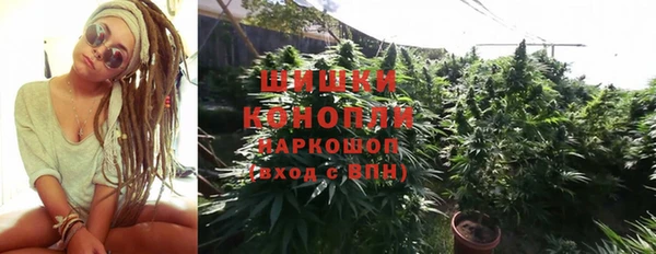 ALPHA PVP Иннополис